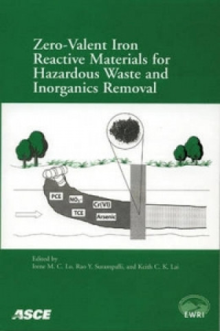 Carte Zero-valent Iron Reactive Materials for Hazardous Waste and Inorganics Removal Irene M. C. Lo
