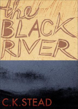 Książka Black River C. K. Stead