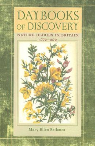 Kniha Daybooks of Discovery Mary Ellen Bellanca