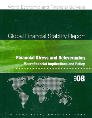 Kniha Global Financial Stability Report Bernan