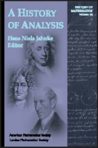 Kniha History of Analysis 