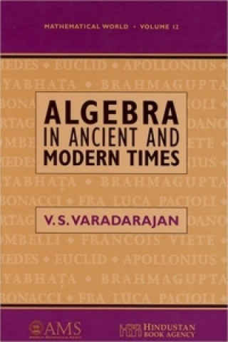 Buch Algebra in Ancient and Modern Times 