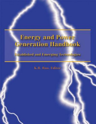 Kniha Energy and Power Generation Handbook 