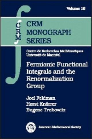 Knjiga Fermionic Functional Integrals and the Renormalization Group American Mathem American Mathem