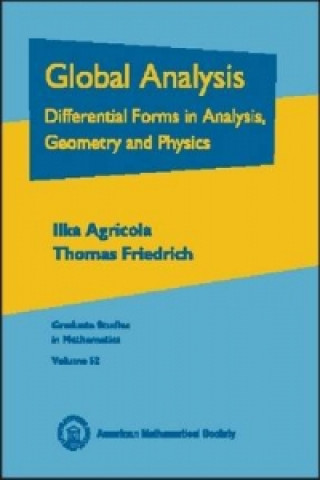Kniha Global Analysis Thomas Friedrich