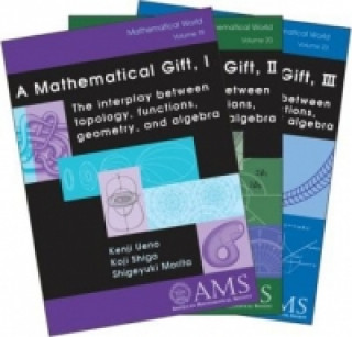 Książka Mathematical Gift, Volume 1-3 Kenji Ueno