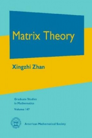 Kniha Matrix Theory Xingzhi Zhan