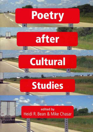 Książka Poetry after Cultural Studies 