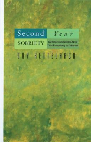 Book Second-year Sobriety Guy Kettelhack