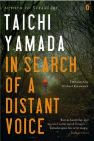 Kniha In Search of a Distant Voice Taichi Yamada