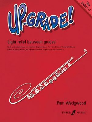 Tlačovina Up-Grade! Flute Grades 1-2 