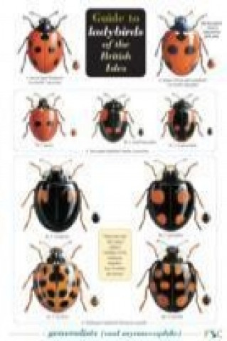 Materiale tipărite Guide to Ladybirds of the British Isles Remy Ware