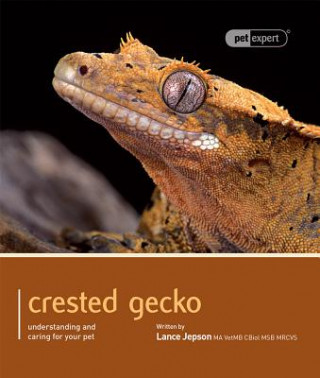 Könyv Crested Gecko - Pet Expert Lance Jepson
