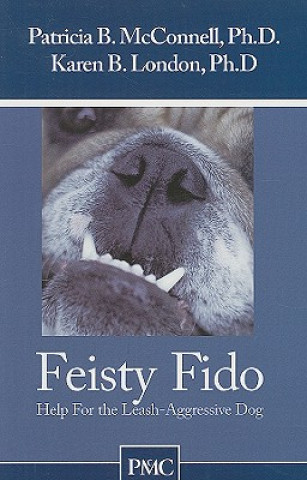 Könyv FEISTY FIDO P MCCONNELL