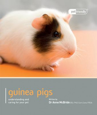 Könyv Guinea Pig - Pet Friendly Anne McBride