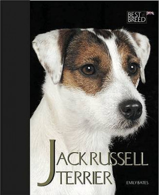 Carte Jack Russell Terrier Emily Bates