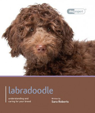 Kniha Labradoodle - Dog Expert Sara Roberts