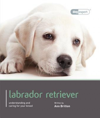 Könyv Labrador - Dog Expert Ann Britton