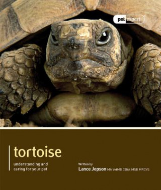 Könyv Tortoise - Pet Expert Lance Jepson
