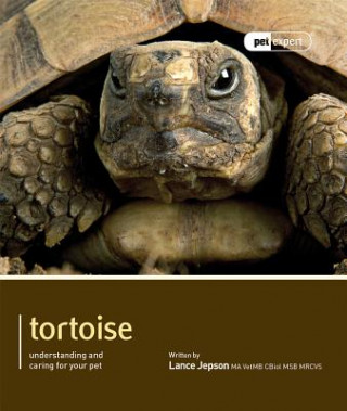 Book Tortoise - Pet Expert Lance Jepson