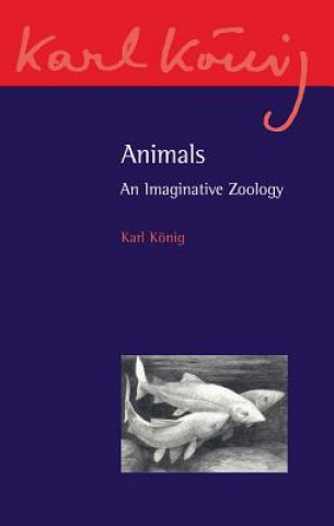 Kniha Animals Karl Konig