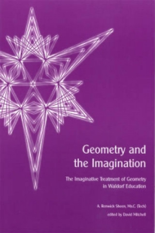 Kniha Geometry and the Imagination A. Renwick Sheen