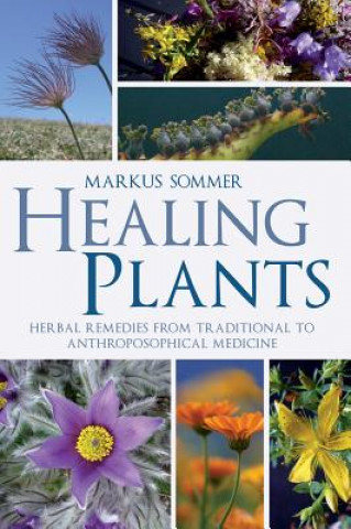 Kniha Healing Plants Markus Sommer
