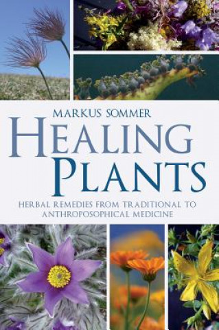 Książka Healing Plants Markus Sommer