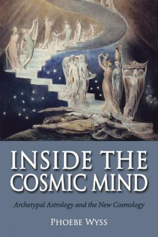 Kniha Inside the Cosmic Mind Phoebe Wyss