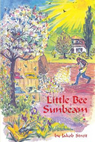Kniha Little Bee Sunbeam Jakob Streit