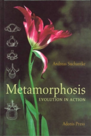 Książka Metamorphosis Andreas Suchantke