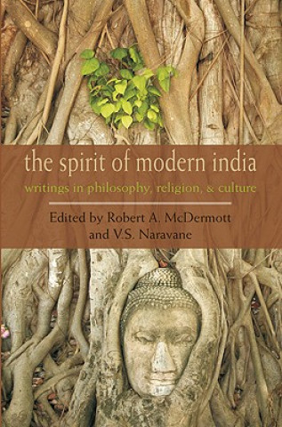 Książka Spirit of Modern India 