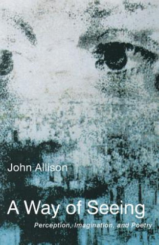 Könyv Way of Seeing John Allison
