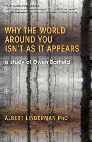 Kniha Why the World Around You Isn't As It Appears Albert Linderman