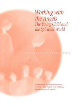 Kniha Working with the Angels 