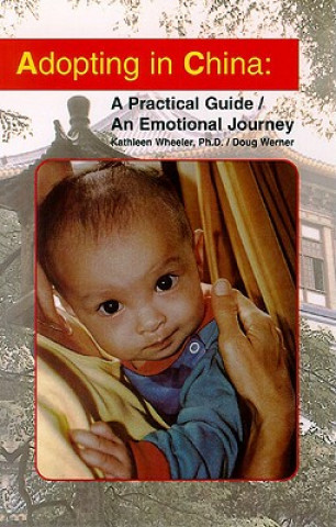 Kniha Adopting in China Doug Werner