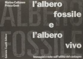 Könyv Albero Fossile E L'Albero Vivo Cattanes M