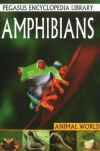 Kniha Amphibians 