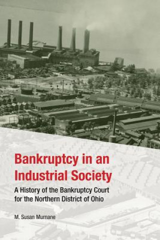 Kniha Bankruptcy in an Industrial Society M. Susan Murname