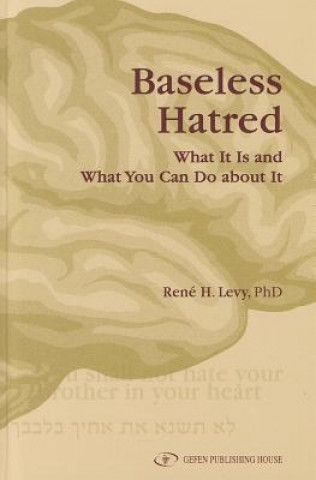 Книга Baseless Hatred Rene H. Levy