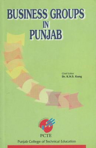 Carte Business Groups in Punjab 