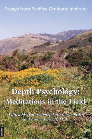 Kniha Depth Psychology, 2nd Edition Lionel Corbett