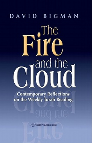 Könyv Fire & the Cloud David Bigman