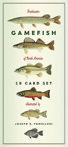Materiale tipărite Freshwater Gamefish of North America Eighteen Card Set Joseph R. Tomelleri