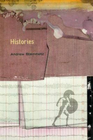 Kniha Histories Andrew Steinmetz