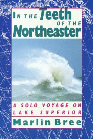 Книга In the Teeth of the Northeaster Marlin Bree