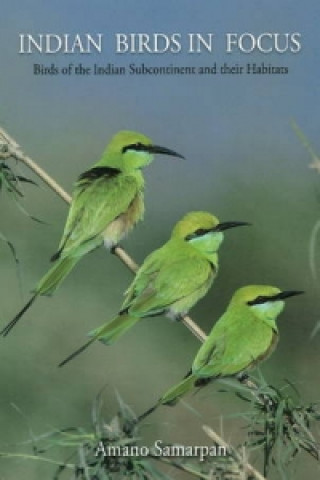 Kniha Indian Birds in Focus Amano Samarpan