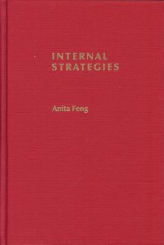 Kniha Internal Strategies Feng