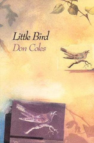 Kniha Little Bird Don Coles