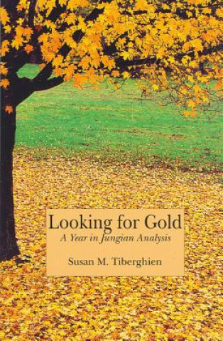 Kniha Looking for Gold Susan M. Tiberghien